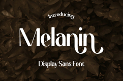 Melanin - Display Sans Font Product Image 1