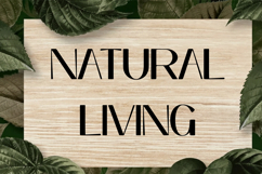 Melanin - Display Serif Font Product Image 2