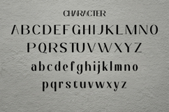 Melanin - Display Serif Font Product Image 5