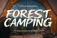 Meliod Larsen Bold Hand Drawn Display Font Product Image 2