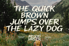 Meliod Larsen Bold Hand Drawn Display Font Product Image 5