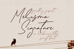 Melisma Signature - Handwritten Script Font Product Image 1
