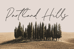 Melisma Signature - Handwritten Script Font Product Image 3