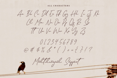 Melisma Signature - Handwritten Script Font Product Image 6