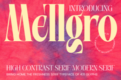 Mellgro High Contrast Modern Serif Product Image 1
