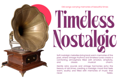 Mellgro High Contrast Modern Serif Product Image 8