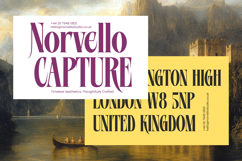 Mellgro High Contrast Modern Serif Product Image 13