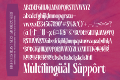 Mellgro High Contrast Modern Serif Product Image 18