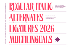 Mellgro High Contrast Modern Serif Product Image 19