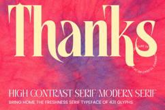 Mellgro High Contrast Modern Serif Product Image 20