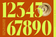 Melocity - Modern Bold Serif Product Image 5