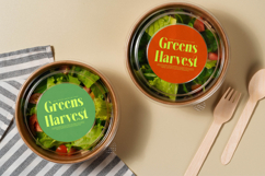 Melocity - Modern Bold Serif Product Image 17