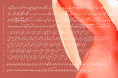 Melodic Banthera - Beautiful Script Font Product Image 18