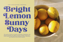 Melody Kingda - New Modern Serif Font Product Image 3