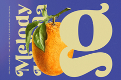 Melody Kingda - New Modern Serif Font Product Image 6