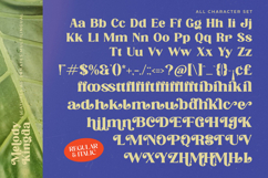 Melody Kingda - New Modern Serif Font Product Image 14