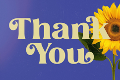 Melody Kingda - New Modern Serif Font Product Image 15
