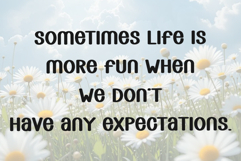 Melon Berry Product Image 6