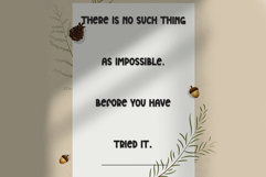 MelonSquire Product Image 6