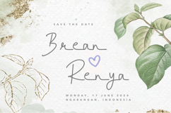 Memo Besty a Monoline Script Font Product Image 3