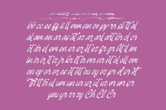 Mendyora - Bold Calligraphy Font Product Image 10