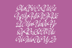 Mendyora - Bold Calligraphy Font Product Image 14
