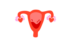 Menstrual Cycle &amp; Women's Health Clipart Set 28 Period Product Image 8