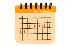 Ultimate Menstrual Health & Feminine Care Product Image 5