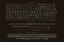 Mentally Positives - Bold Brush Font Product Image 19
