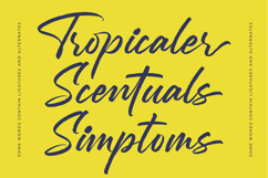 Mention Roberto - Modern Brush Font Product Image 16