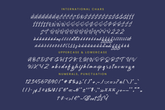 Mention Roberto - Modern Brush Font Product Image 18