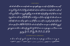 Mention Roberto - Modern Brush Font Product Image 19