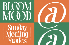 Mequnch - Modern Serif Display Font Product Image 5