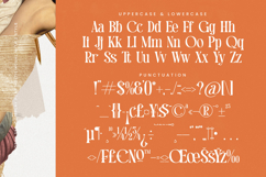 Mequnch - Modern Serif Display Font Product Image 18