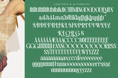 Mequnch - Modern Serif Display Font Product Image 19