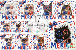 Merica 4th of July Cat Clipart Product Image 1