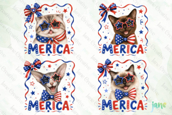 Merica 4th of July Cat Clipart Product Image 1