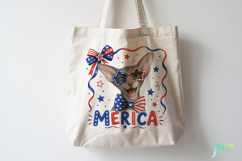 Merica 4th of July Cat Clipart Product Image 4