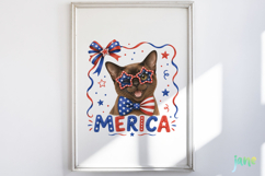 Merica 4th of July Cat Clipart Product Image 5