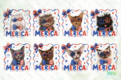 Merica 4th of July Cat Clipart Product Image 2