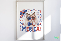 Merica 4th of July Cat Clipart Product Image 5