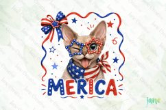 Merica 4th of July Cat Clipart Product Image 4