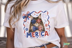 Merica 4th of July Cat Clipart Product Image 2