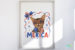 Merica 4th of July Cat Clipart Product Image 5