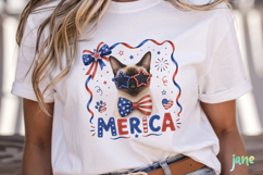 Merica 4th of July Cat Clipart Product Image 3