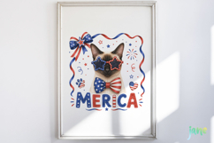 Merica 4th of July Cat Clipart Product Image 5