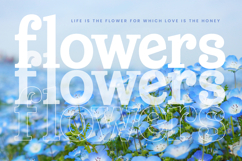 Meridi Rolitud - Modern Alternate Serif Product Image 12