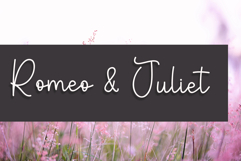 Merry Natural Product Image 4