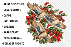Merry Christmas PNG, Christmas Duck Coquette Design Product Image 3