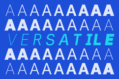 Merta Sans Contemporary Sans Serif for Branding &amp; UI System Product Image 2